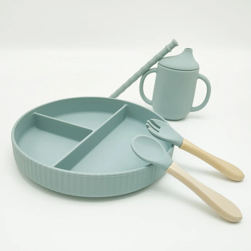 Large Capacity Silicone Food Supplement Plate. Simplifies feeding, perfect for generous portions, and ensures safe and e