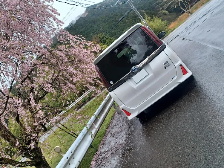 ノアのぶんのすけ w×bIIIさんが投稿したカスタム事例の投稿画像2枚目