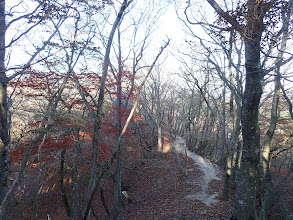 登山道を西へ