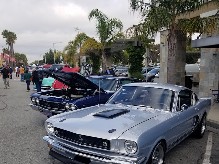 Picture of Ford Shelby Tribute Fastback Gt350