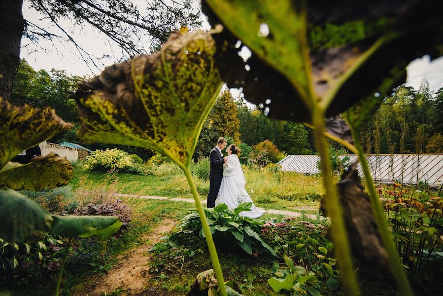 Wedding photographer Aleksandr Korchagin (alexkorchagin). Photo of 18 December 2015