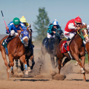 Horse Racing Brings Exciting Emotions