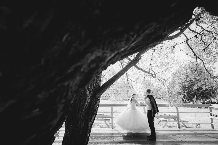 Wedding photographer Aleksandr Mozheyko (aleksandrnet). Photo of 26 October 2014