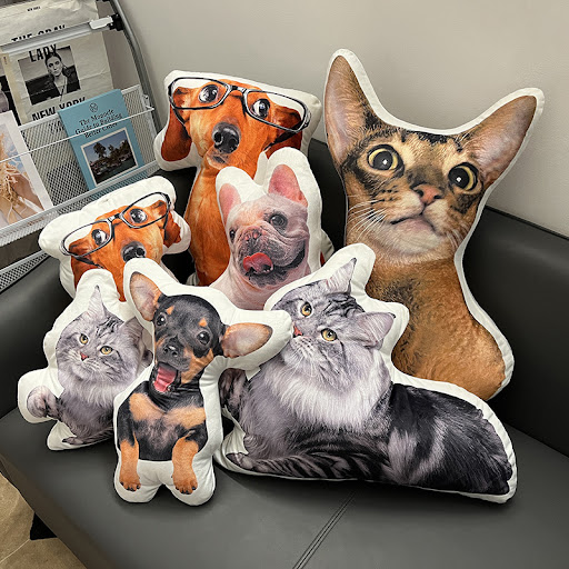 Title 5, Personalized Alien Throw Pillow Pet Cartoon Cre...