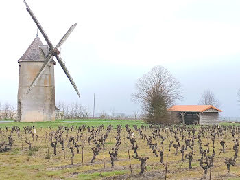 maison à Sèvremoine (49)