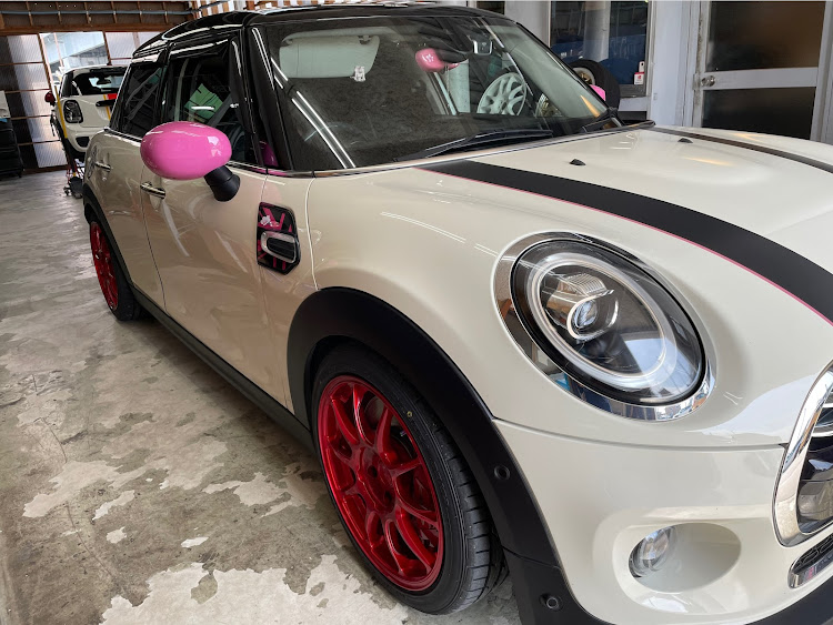 ミニ ハッチバックの愛車の半顔が見たい・桜の季節🌸・シドモア桜・半ケツ・BMW様ありがとうございます🎯に関するカスタム事例の投稿画像1枚目
