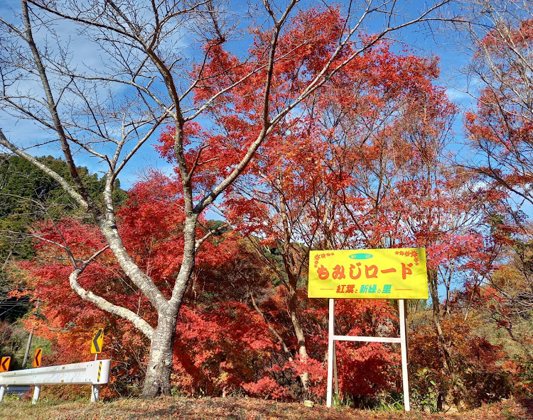 XVのシルバーはイイぞぉー・XV GP7・もみじロードに関するカスタム事例の投稿画像1枚目