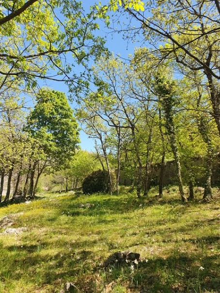 Vente terrain  1061 m² à Saint-Vallier-de-Thiey (06460), 199 000 €