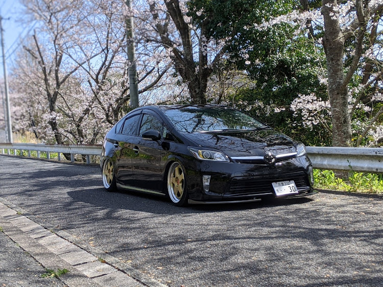 プリウスの桜とコラボ・TEAM  FreeDom`style・洗車・生脚派・○○小学校に関するカスタム事例の投稿画像4枚目
