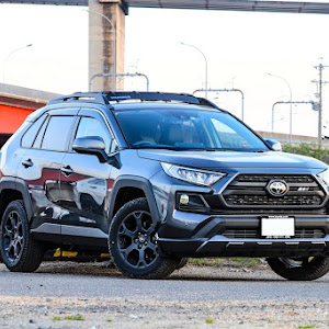 RAV4 MXAA54