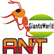 스마트 건설현장관리 시스템 / 자이언트빌더 Ant Download on Windows