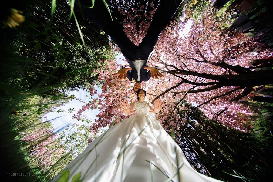 Photographe de mariage Andrey Cheban (andreycheban). Photo du 8 juin 2018