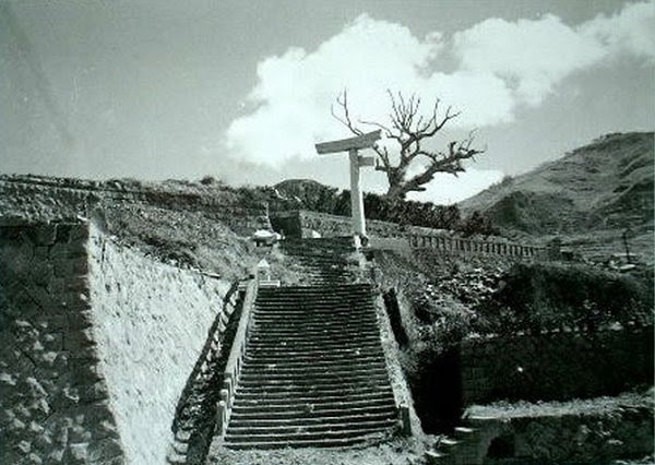 Hibaku Jumoku, as árvores sobreviventes de Hiroshima