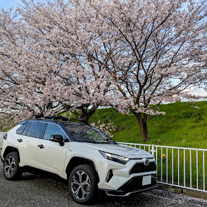 RAV4 AXAP54