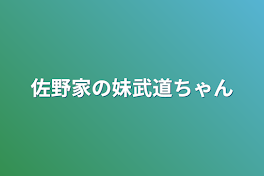 佐野家の妹武道ちゃん