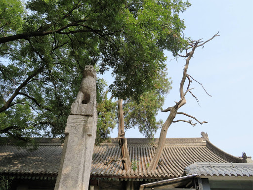 Stone forest Xi'an China 2016