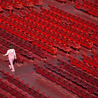 A rose in Red di levysoro