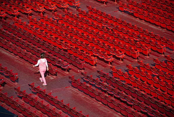 A rose in Red di levysoro