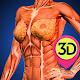 Download Female Anatomy : Woman Body Visualizer For PC Windows and Mac 1.0