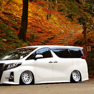 アルファード AGH30W