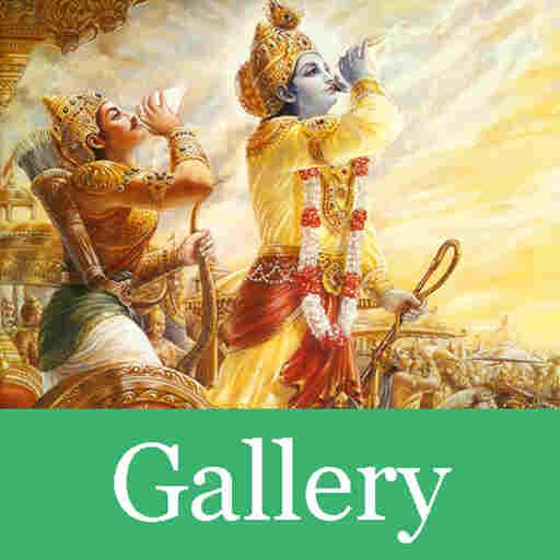 Bhagavad Gita Sloka Gallery 書籍 App LOGO-APP開箱王