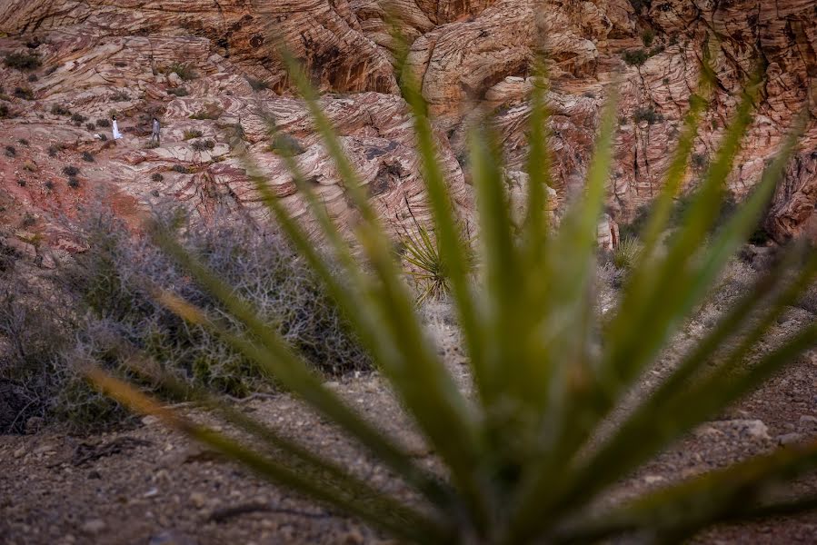 Fotografo di matrimoni David Hofman (hofmanfotografia). Foto del 16 aprile 2019