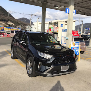 RAV4 AXAH54