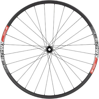 DT Swiss 350/XM421 Front Wheel - 29", 15x110mm, Center Lock alternate image 1