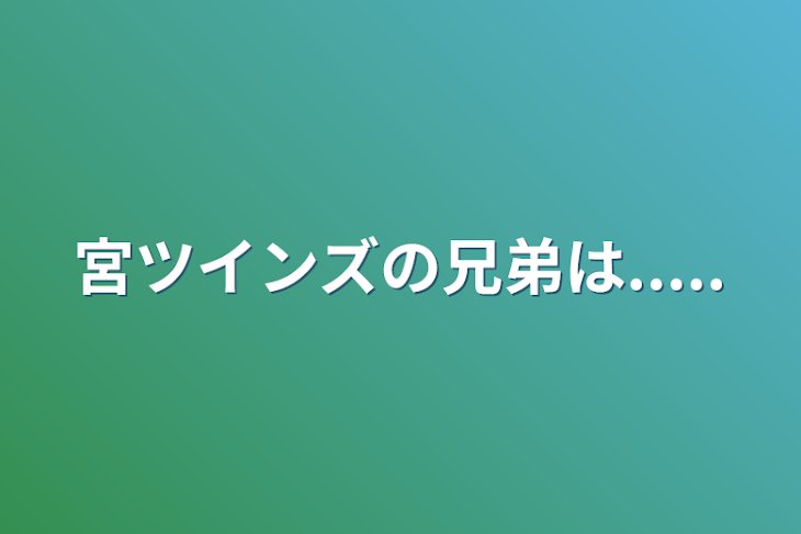 「宮ツインズの兄弟は.....」のメインビジュアル