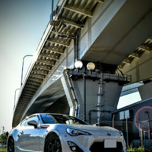 86 ZN6