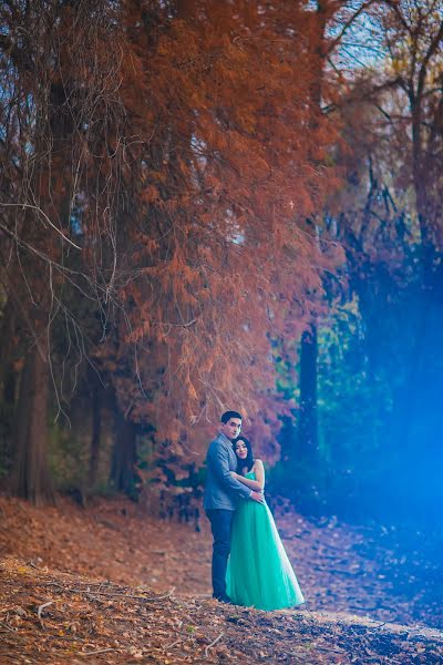 Wedding photographer Bogdan Rudenko (rudenko). Photo of 6 December 2016