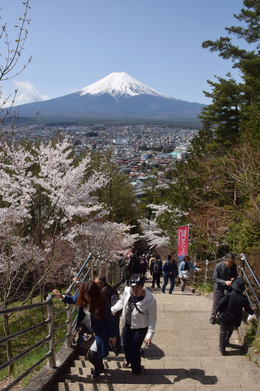 Япония: три недели цветущей сакуры (28.03-16.04.2016)