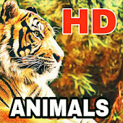 Animal Wallpapers All New HD  Icon