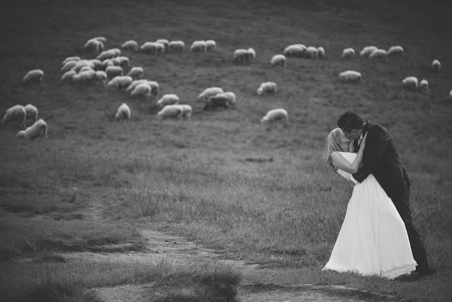 Photographe de mariage Sebastian Mikita (sebastianmikita). Photo du 24 juillet 2014