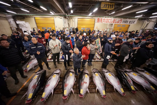 マスコミさん、のん気な報道してねぇで、ホントはヤバい「魚の資源枯渇の危機」を報じてくれ！【生田よしかつ】