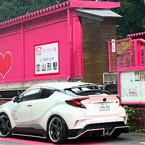 C-HR ZYX10