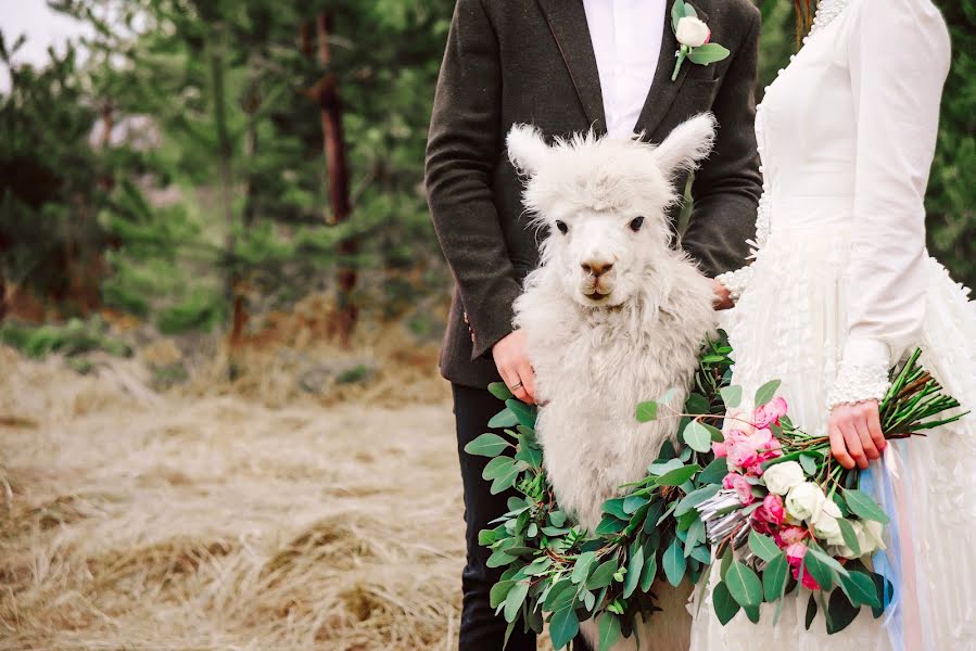 Fotografo di matrimoni Anna Sibarova (sibarova). Foto del 26 febbraio 2016