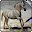 3D Drawing Technique Download on Windows