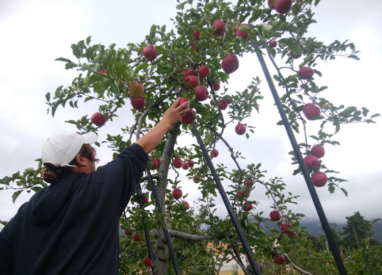 ハイエースバンの全国ちび箱連合会・🍎オフ・SBQ・関東で逮捕しまくりたいに関するカスタム事例の投稿画像5枚目