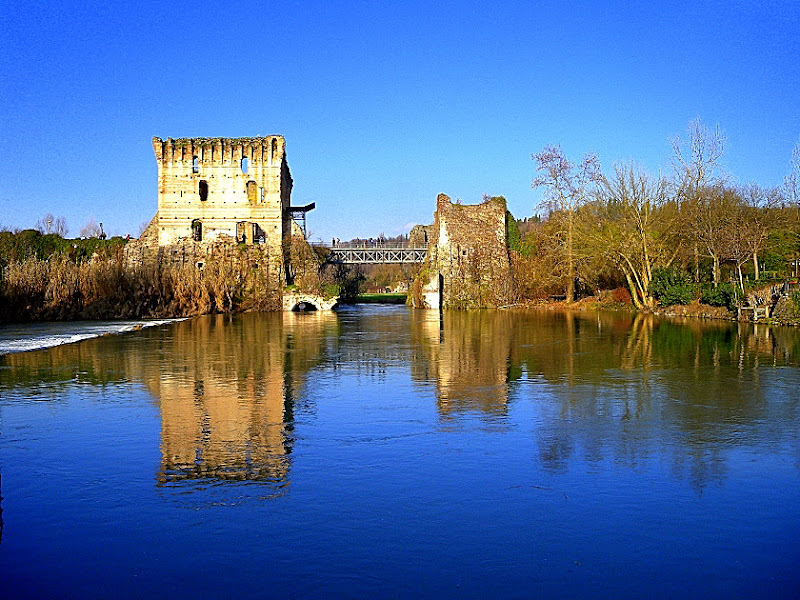 Ponte narciso di Wilmanna