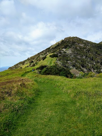 Te Whara Track Ocean Beach Grass Hill Trail