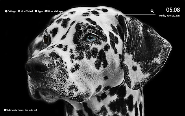 Dalmatian Taustakuva HD New Tab -teema