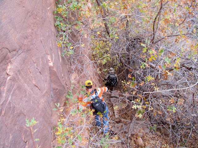 Down into the thick brush