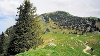 Hochgern