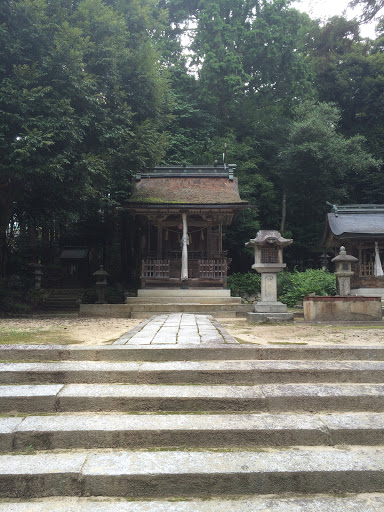 樹下神社 本殿