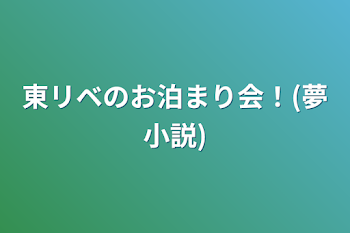 東リベのお泊まり会！(夢小説)