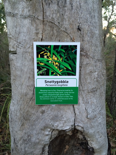 Snottygobble Plaque