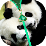 Cover Image of ダウンロード Panda Zipper Lock Screen 1.2 APK