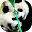 Panda Zipper Lock Screen Download on Windows