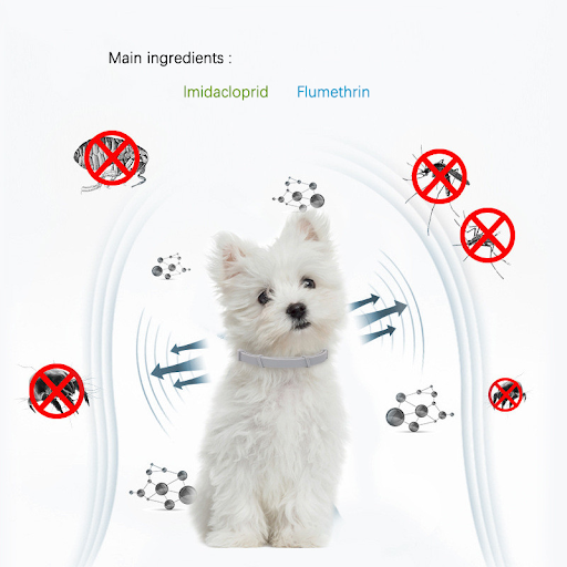 images slider number - 3